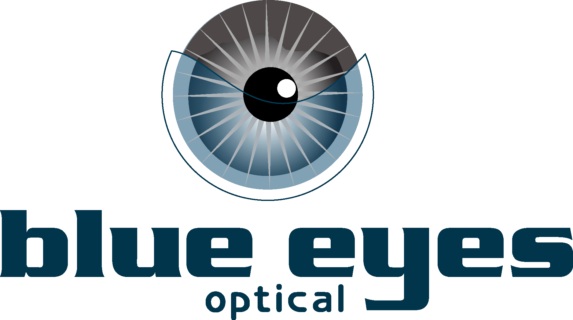 Blue Eyes Optical Logo Vector Logo